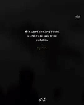 කවුද ඒ කෙනා 🤍 #tiktok #viral #capcut #tom #1m @Dolly girl 🐼💗