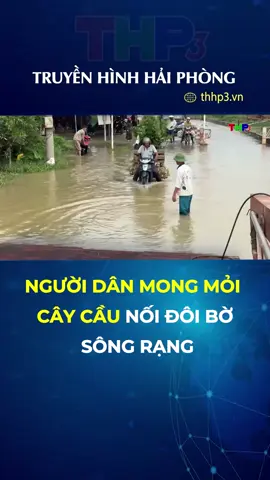 Người dân mong mỏi cây cầu nối đôi bờ sông Rạng #thhp3 #thhp3.vn #tiktoknews #socialnews #truyenhinhhaiphong #baovaphatthanhtruyenhinhhaiphong