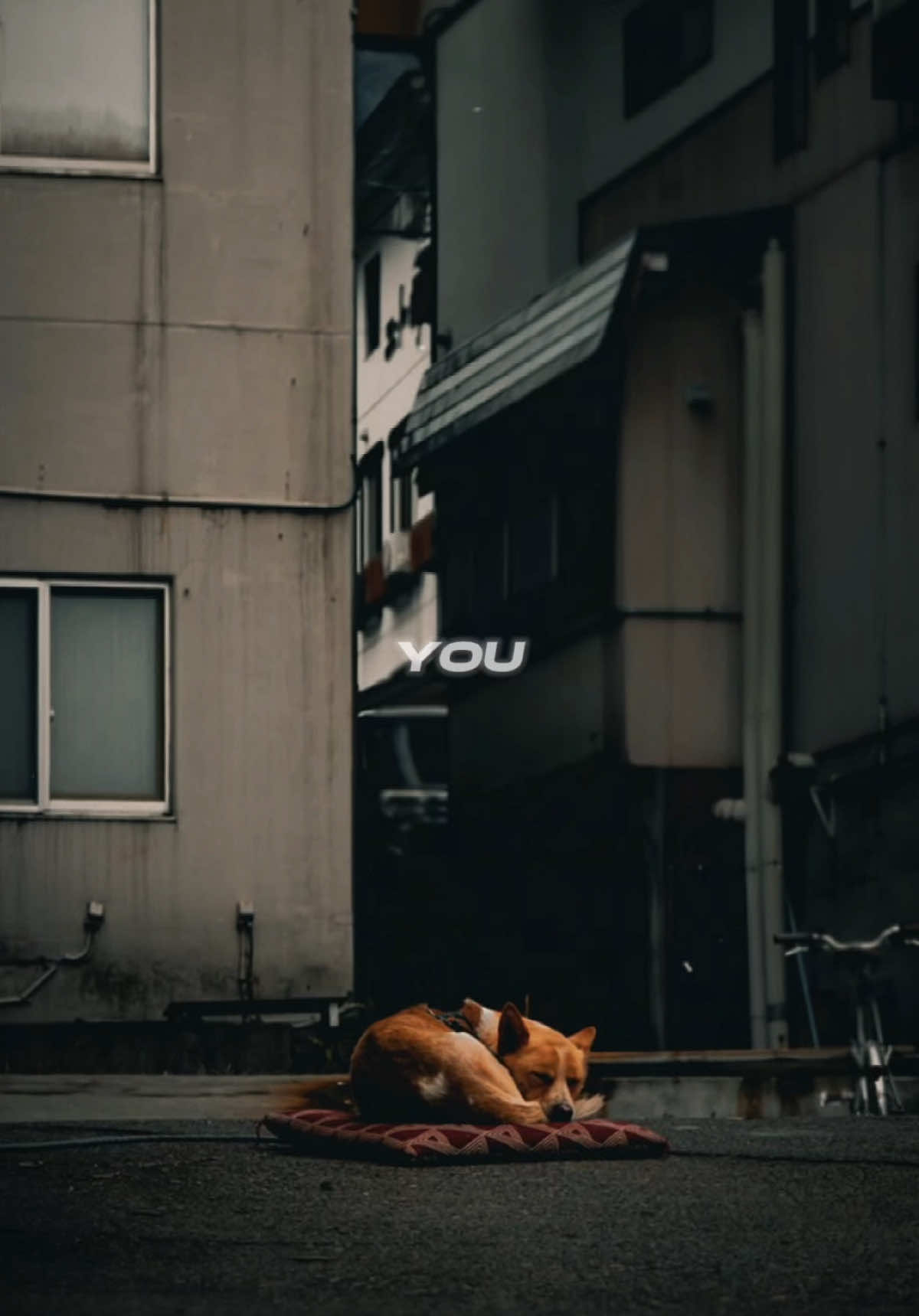 Britney Spears Remix Beat Cuốn #CapCut #maucapcut #xuhuong #thinhhanh #bietchua 