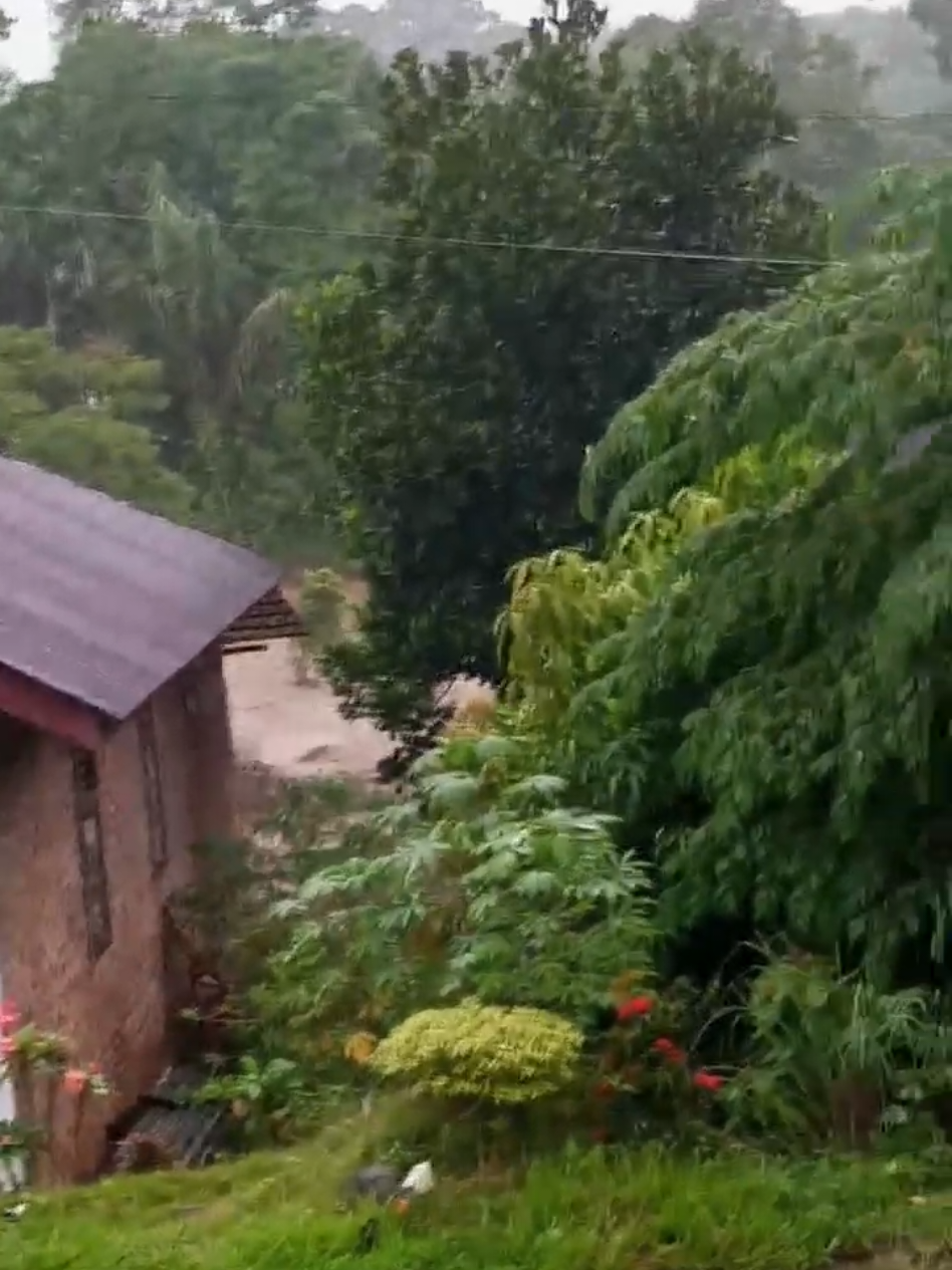 detik2 galodo di salareh aia kecamatan Palembayan dokumentasi dari belakang rumah #galodosalarehaia #galodoagam #galodopalembayan #27november2025