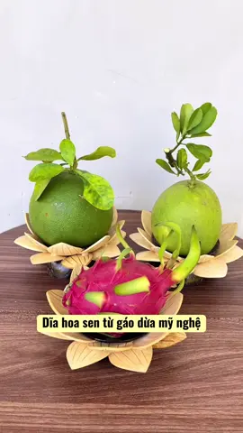 Dĩa hoa sen chưng trái cây, dĩa chưng bánh kẹo hình hoa sen gáo dừa mỹ nghệ #diahoasen #diachungtraicay #mientay #saigon #tet2026 
