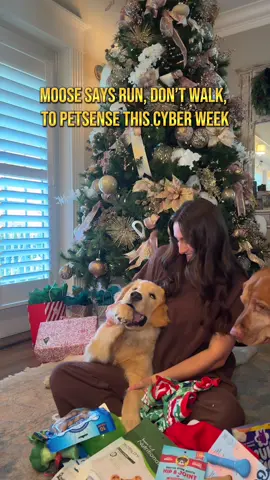 Petsense spoiled us this Cyber Week 🎄 If you’re stocking up for your pets, the BOPIS deal starts Dec 1 — $20 off $100+ or 10% off $49+ when you buy online & pick up in-store 🎅🏼  @Petsense by Tractor Supply #goldenretrieverpuppy #dogs #dogmoms #dogtoys #dogtreats 