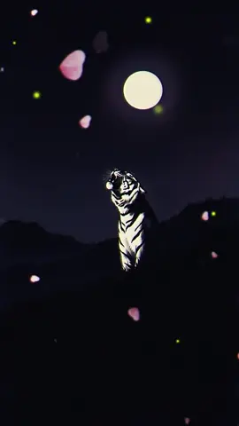 🦁 Nhâm Dần: Họ luôn phải tỏ ra cứng rắn và uy quyền. Nỗi lòng: khao khát một nơi yên tĩnh để nghỉ ngơi, không cần phải gồng mình mạnh mẽ nữa. 🧘 #nhamDan #tuoiKim #tuvi12congiap #binhyen #chuyencuocsong 