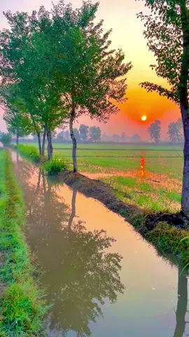 #sohnapind149 #viralvideo #trending #virel #fyp 