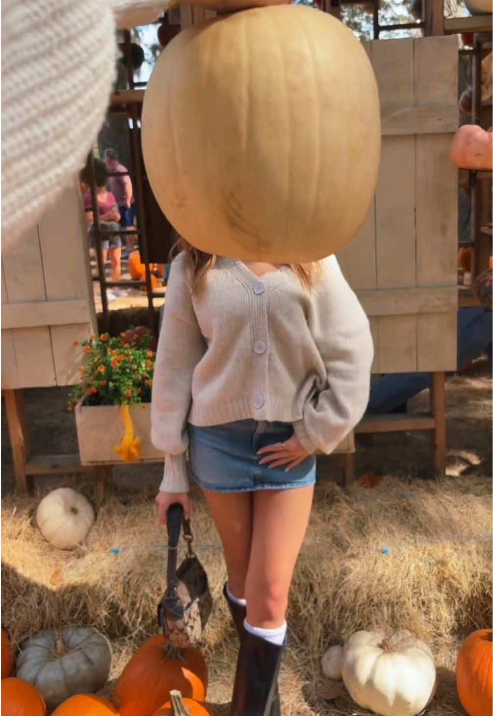 Bye Fall 🤎🍁🍂 @Arianna 