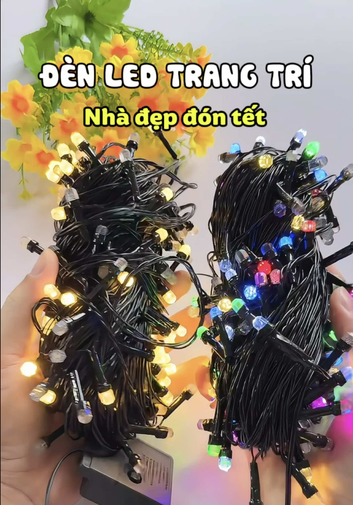 Dây đèn led trang trí noel ngày tết hạt dẻ quá nè mấy c #decor #tet2026 #denledtrangtri #denledkimcuong #methamriviu 