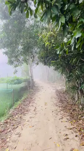 শীতের সকাল 🥶😊#foryoupage #copylink #foryoupage #copylink 