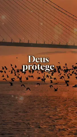 Deus abençoe minha família 🙏🏻❤️  #Deus #oracao #gratidao #status #family 