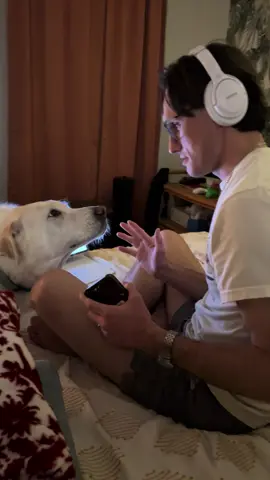 Herc and his ✨attachment issues✨ #dogsoftiktok #needy #rescuedog #attachmentissues 