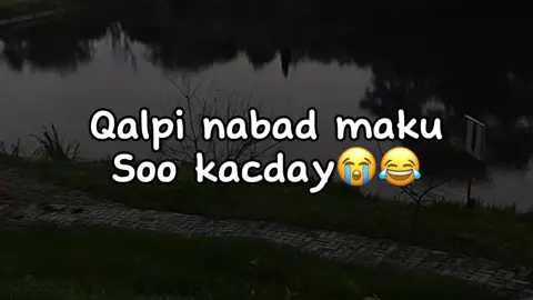 Udir😭😂#jawi_bila🌊❤️🌴#jawiga_jawiyada_eryaday🌴❤️ #mohamed💦 