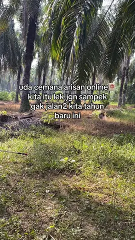 #sawitontiktok #masukberanda #sawitbalap #kulisawit #promomakan1010 