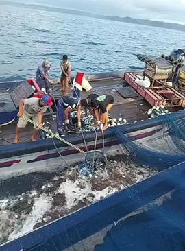 #fyp Akir nya mulei nampak sodara 