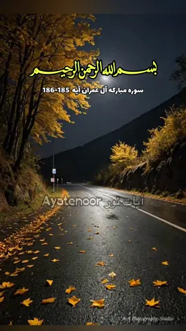 قرآن با ترجمه دري | قرآن با ترجمه فارسي | ترجمه زيبا قرآن به زبان فارسي | مطالب إسلامي | رحمت الهي | رجوع بسوي حق | شناخت الله متعال | معناي هستي ما درين دنيا | قرآن يگانه راهنمای بشر | قرآن آرامش روح و روان | ودیو اسلامی | #قران_كريم #ayatenoorآیات_نور #ترجمه_فارسی_قرآن_کریم #foryou #سوره_آل_عمران 