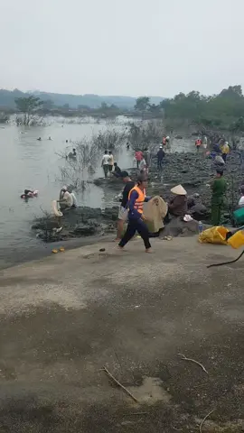 chặn đập xem bắt cá 