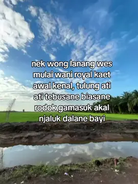 urong tau nemu lanangan royal diawal,nemu e seng mokondo trs😬#tiktokviral #trendingsong #4upageシforyou #ryp 