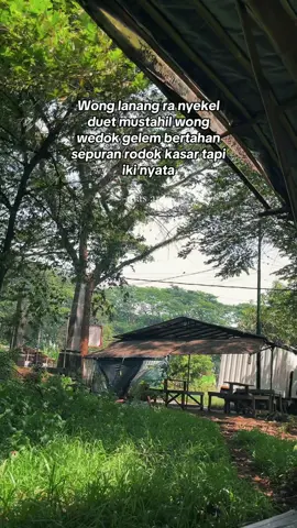 Sepurane rodok kasar tapi iki nyata  #fypシ゚ #storytime #foryoupage #katakata #jowopride @𝙈𝙖𝙨 𝙖𝙧𝙚𝙨💦 