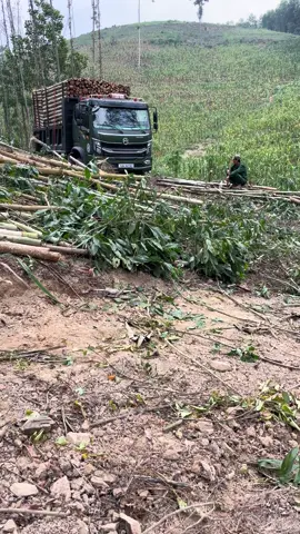 Chiến thắng 7t7 không làm ae thất vọng#xechienthang2caudau #xebenquatai 