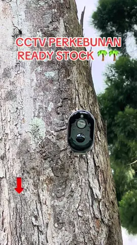 GERCEP ‼️ READY STOCK 👍🏻#cctvkebun 