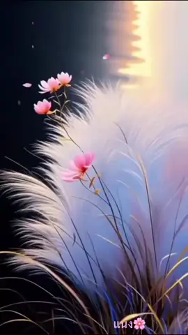 #ขอบคุณเสียงต้นฉบับ #เพลงเก่าที่คิดถึง #เพลงเก่าในอดีต #เพลงเก่าเพราะๆ #อนุรักษ์เพลงเก่า 