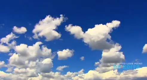 #larosadeguadalupe #series #drama #fyp #parati La rosa de Guadalupe parte 6