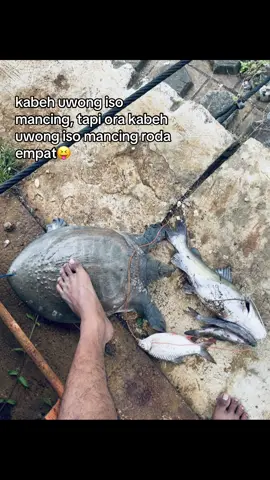 pemula huu🙏🏻@Andikasipit #batangerstulungagung#kmbblozzdool  