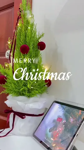 Không khí cuối năm tại LUMIN. Ai cũng tranh thủ “chăm da ” để đón Giáng Sinh & Tết thật xinh. Mấy ngày này tiệm rộn ràng mà vui ơi là vui 🎄 —— LUMIN SKIN —— ⏰ Mở cửa hằng ngày: 08:00 – 20:00 (Sau 21h, chỉ cần nhắn trước – LUMIN sẽ chờ bạn ✨) 📱 Booking/Zalo: 0979 107 773 📍 Địa chỉ: 379/18 Tân Hoà Đông, P. Bình Trị Đông, Bình Tân, TP.HCM #ChamSocDaBinhTan #DieuTriMunBinhTan #LuminskinBinhTan #SpaBinhTan #TrietLongBinhTan