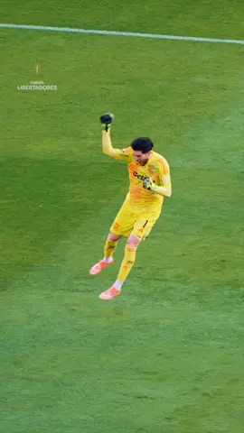 Vibra, Rossi! 👏🇦🇷 | @Flamengo  #Flamengo #GloriaEterna #Libertadores #Rossi 