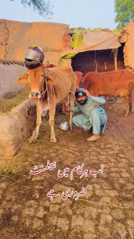 کیاکروں بھائی مجھے پہلے پتانہیں تھا لیکن اب ہیلمنٹ ضروری ہے@ناصراقبال🌷 @Ali Raza @Saima Khan @ambeerhamza123 @Azra Imran Mangat @Heramalik590 @Azra Imran Mangat @Babarzaman @Babar sandhu123 