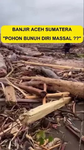 breakingnews : Banjir aceh sumatera utara, mungkinkah pohon pohon dihutan bunuh diri massal?? #reporterluarangkasa #breakingnews #ahlinujum #banjir #aceh 