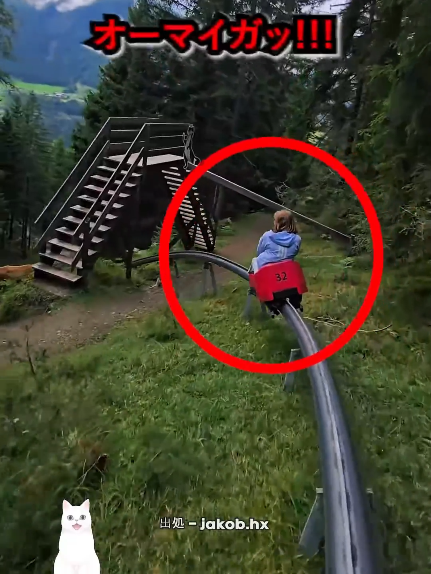 乗り物に乗るとき油断してはいけない理由#遊園地デート #山#ジェットコースター #ユーモア#スモーキーマウンテン