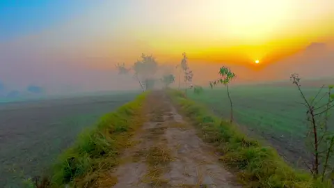 #میرا۔سوہنا۔پنڈ۔ٹھٹھہ۔ضلع۔قصور۔🌾🌲🌱🍂 #adeeljaat #unfreezemyacount #donotunderreviewmyvideos 