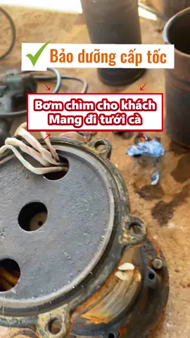 Bảo dưỡng bơm tưới #dienco #nghenghiepcuatoi #suachuadien #motor #bomchim 