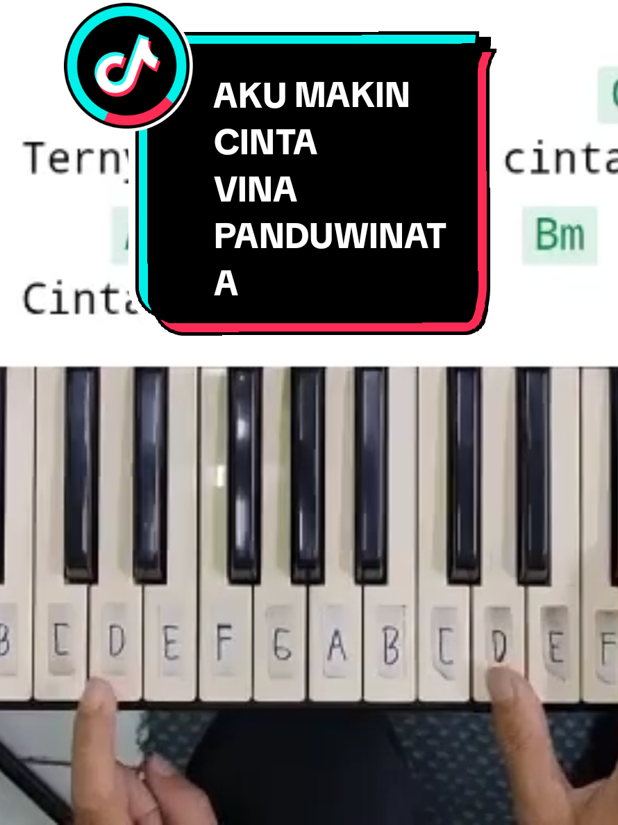 AKU MAKIN CINTA - VINA PANDUWINATA #fyp #reels #tutorialpiano #piano #easypianotutorial 