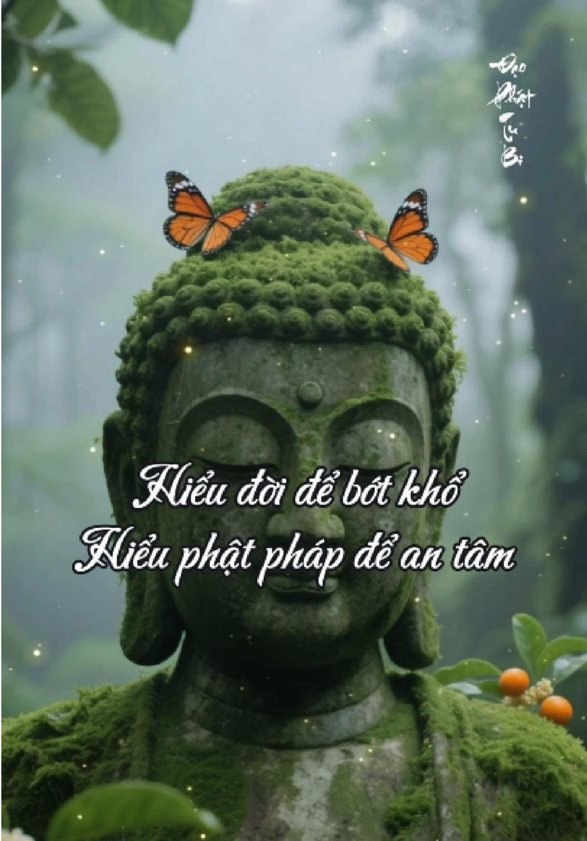 Giác Ngộ Không Xa — Chỉ Cần Bạn Hiểu Những Điều Này. #phatphap #nhanqua #voThuong #giacngo #tinhthuctamlinh