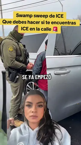 swamp sweep de ICE en New  Orleans Lousiana #CapCut 