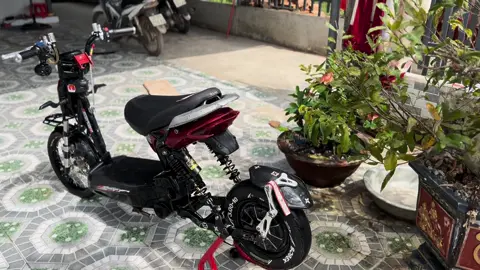 Mọi người thấy ai dọn 133 kiểng keng nhất @. họ vào bluan nào🤩🤩#qlinhxd👾 #xuhuong #xediendo #133kieng #xedienvietnam 