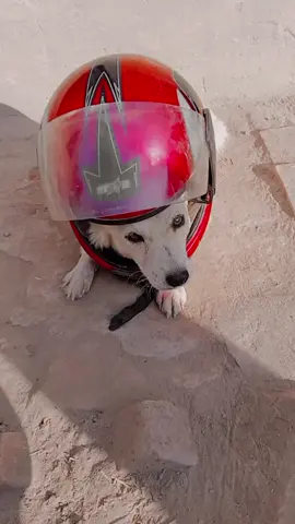 #for you video viral for you tik tok