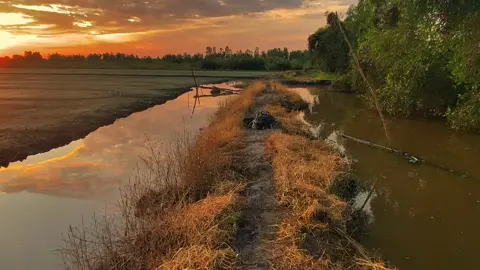 “Em ơi có bằng lòng không..?#xuhuong #chill #mientay #tamtrang #tet 