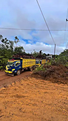 #CapCut rontok petakan abang dek @Andre11252102 @Mas Nduttt  @@ANDRI @tri.rd #truk#sawitontiktok #drivermuda 