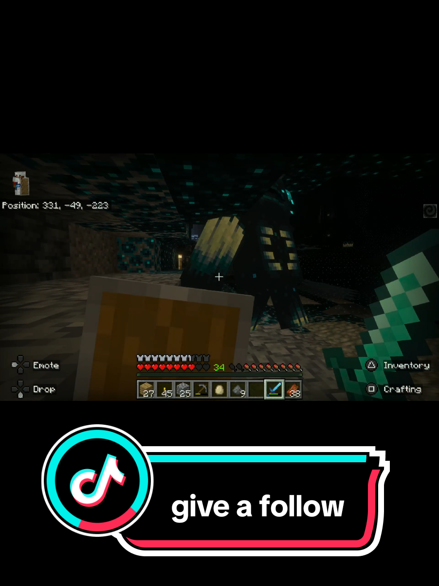 #minecraftwarden #mojang #fyp my teammate was so fast!! 