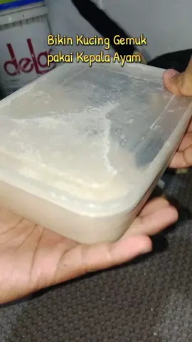 cara supaya kucing gemuk dengan kepala ayam  #kucinggemuk #tipskucinggemuk #makanankucing 