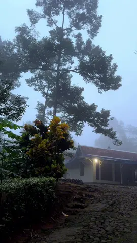 suasana kabut di pedesaan 🥶🍃#fyp #lightzshot 