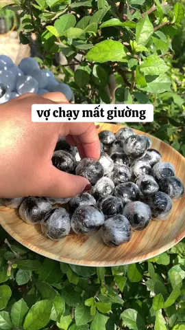 #bothantrangduong #xuhuong #thinhhanh #viral #caobothan 