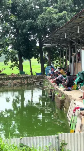 ayo yang mau mancingn harian