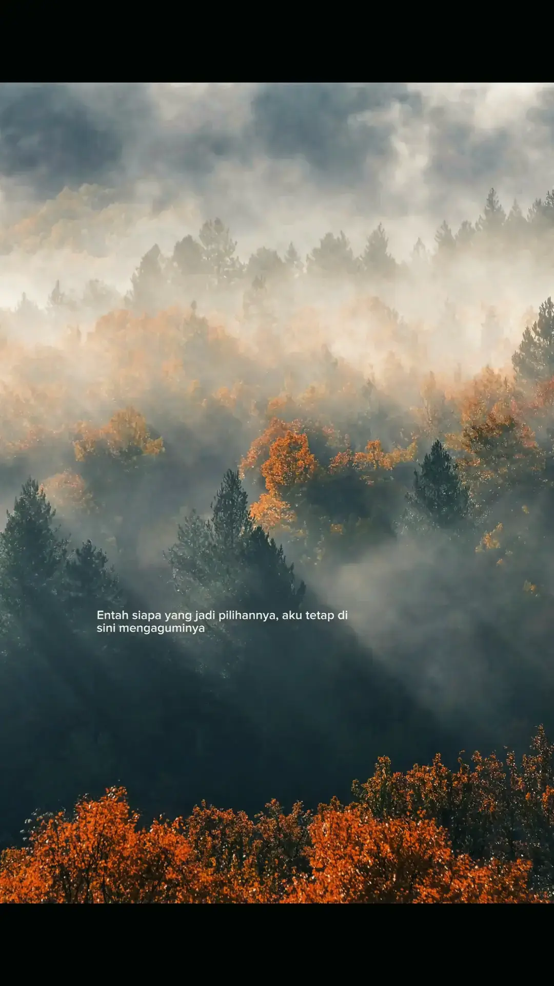 ... Berikut langkah-langkah sederhana membuat lemper ayam enak dan harum: 📝Bahan: Beras ketan 500g Santan 300ml Daun pandan Garam secukupnya Isian ayam: Ayam suwir Bawang merah & bawang putih Daun salam / daun jeruk Serai geprek Santan sedikit Gula, garam, lada, kaldu secukupnya Langkah-langkah membuat lemper ayam: 1. Siapkan ketan Cuci beras ketan sampai bersih. Rendam 2–3 jam agar pulen. Kukus ketan ±15 menit, lalu angkat. 2. Masak ketan dengan santan Didihkan santan, beri garam dan daun pandan. Masukkan ketan yang sudah dikukus. Aduk sampai santan terserap. Kukus lagi ±25–30 menit sampai matang pulen. 3. Buat isian ayam Tumis bawang merah & bawang putih sampai harum. Tambahkan daun salam, daun jeruk, dan serai. Masukkan ayam suwir. Tambahkan santan sedikit, garam, gula, lada, kaldu. Masak sampai bumbu meresap, koreksi rasa lalu angkat. 4. Bentuk lemper Ambil sedikit ketan, pipihkan di tangan. Letakkan isian ayam di tengah. Tutup kembali dan padatkan. 5. Bungkus & kukus Bungkus dengan daun pisang (boleh kecil memanjang / bulat). Kukus sebentar 10 menit agar padat dan wangi. Tips tambahan: ✔ Gunakan daun pisang yang dipanaskan sebentar agar lentur. ✔ Pilih ketan putih berkualitas biar lembut. ✔ Tambahkan sedikit bawang putih halus ke santan supaya lebih gurih. Semoga Bermanfaat😊#foryoupage #4u #galaubrutal 