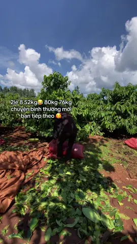 Mua ca tới rồi ae ơi#xh #fyp 