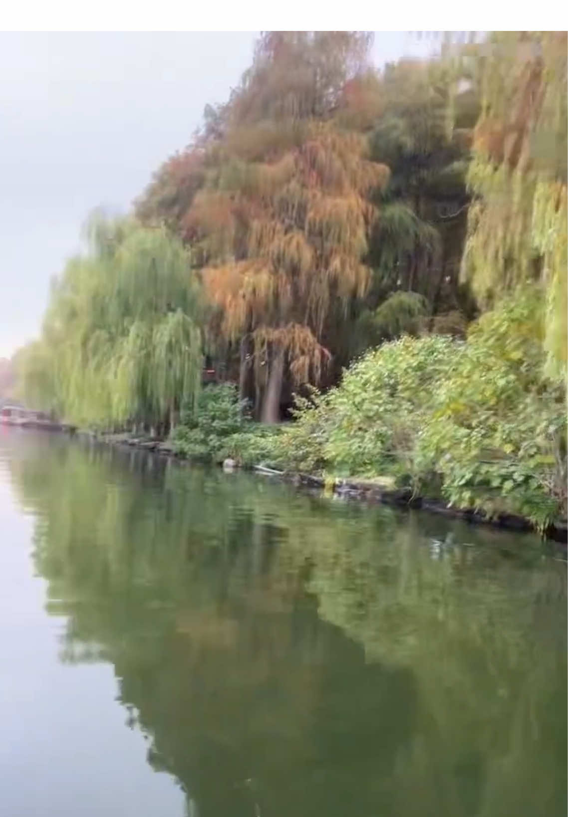 🎬《NGỌC ĐIỆM THU》Để có được những đoạn leak….😌 Em cũng chỉ biết cười thui 😂 #thualoi #丞磊 #chenglei丞磊 #chenglei #ngocdiemthu 