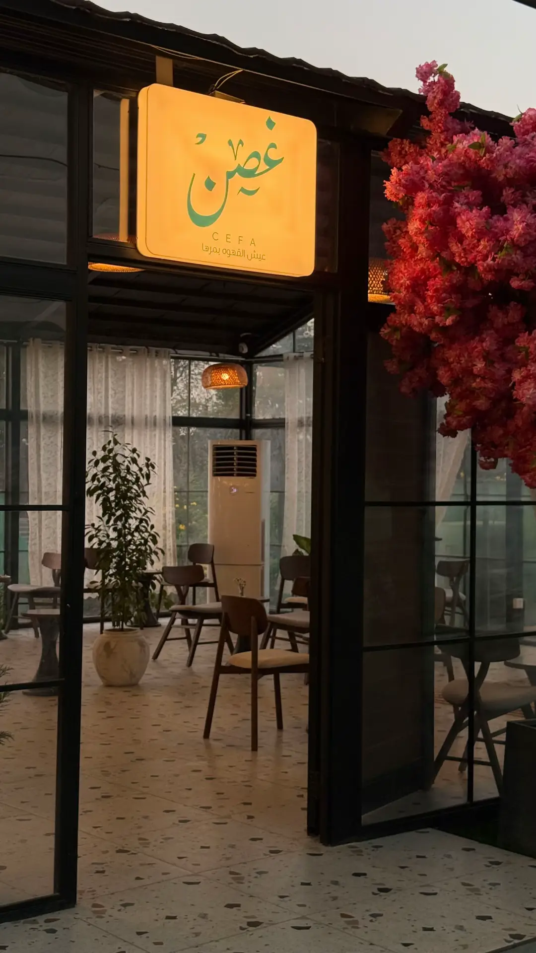 #كوفي_غصن #جازان #ترندات_تيك_توك #اكسبلور #الشتاء 