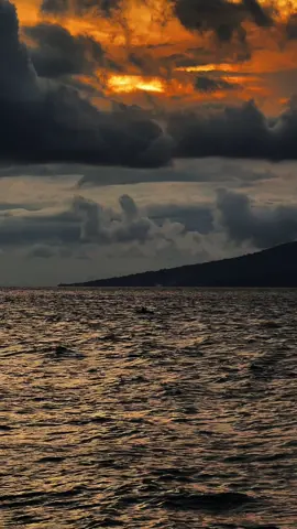 Titip pesan’mu disini >>