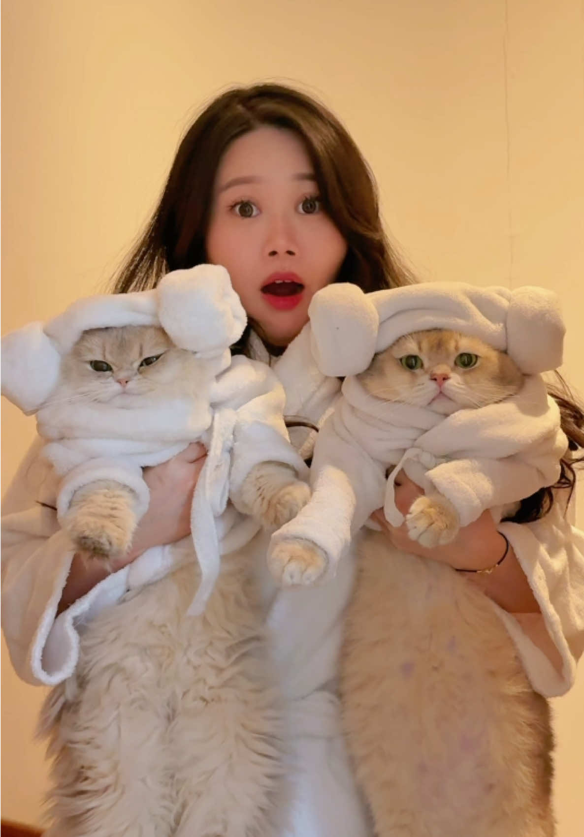 🙀: Rumah berhantu?! LANGSUNG PINDAH WOI! #kucing #kucinglucu #kucingtiktok 